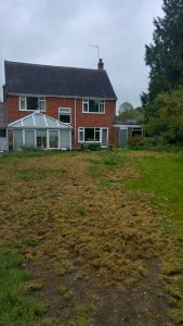 lawn damage from pests
