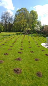 Top dressing ready for spreading