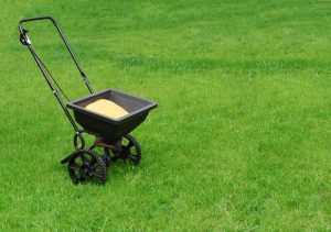 lawn fertiliser