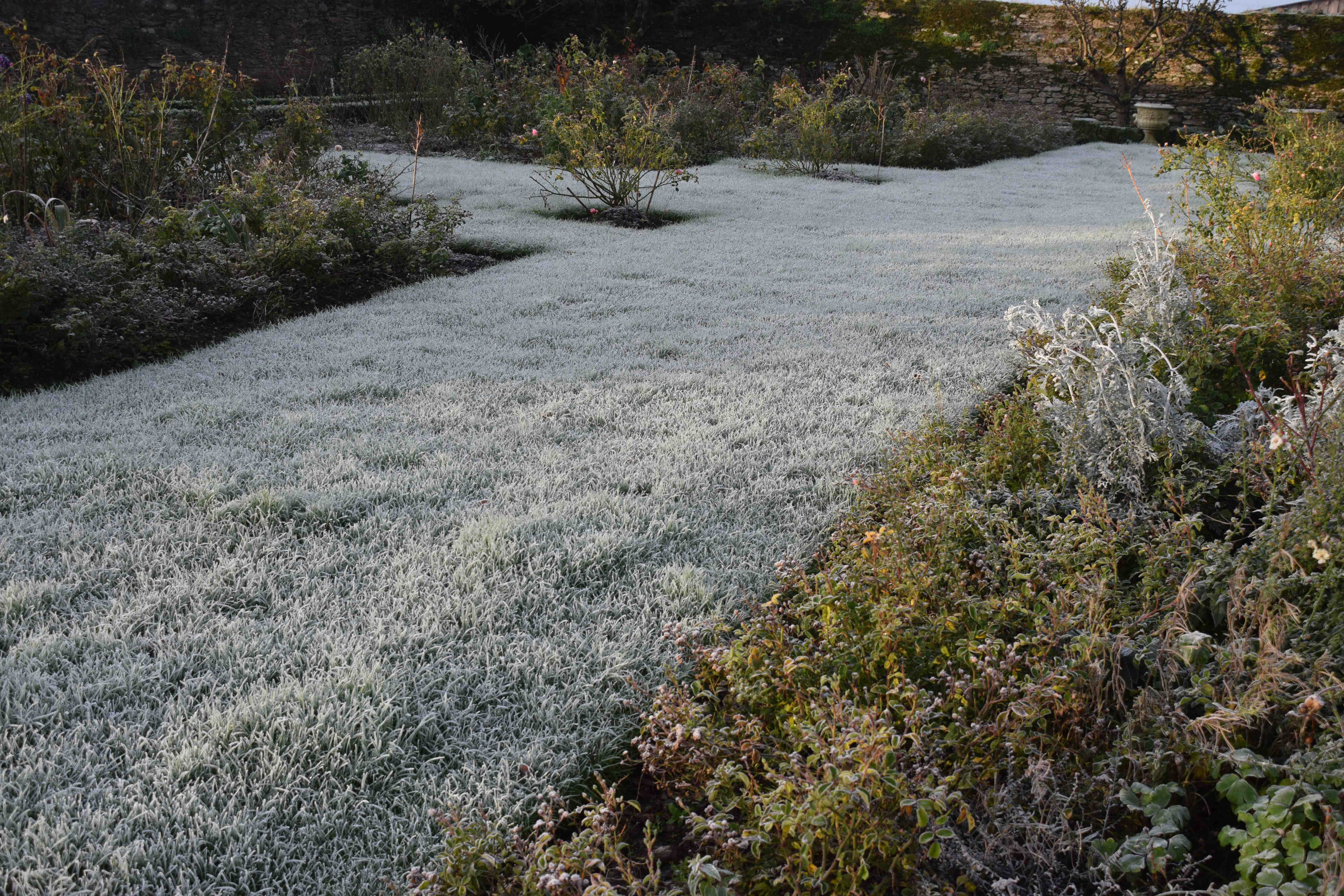 Frost on sale on grass
