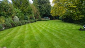 Aerate your lawn