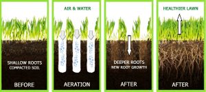 How a lawn aerator works