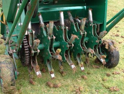 Autumn Lawn Repair Autumn Lawn Repair