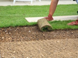 Turf, Sods & Turfing