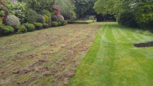 Remove moss by scarifying