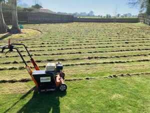 Scarification for a lawn with moss in Hampshire