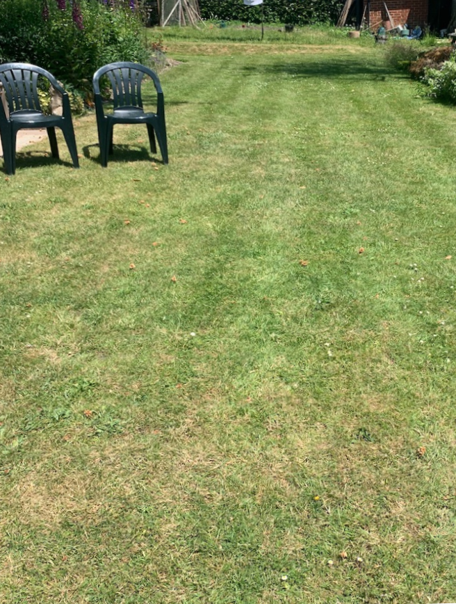 Before