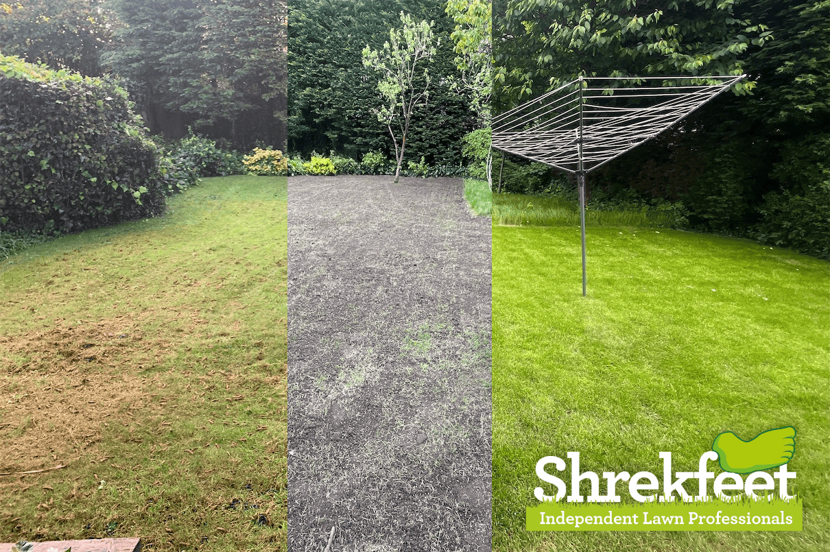 when to cut grass after top dressing When to top dress lawn after scarifying?