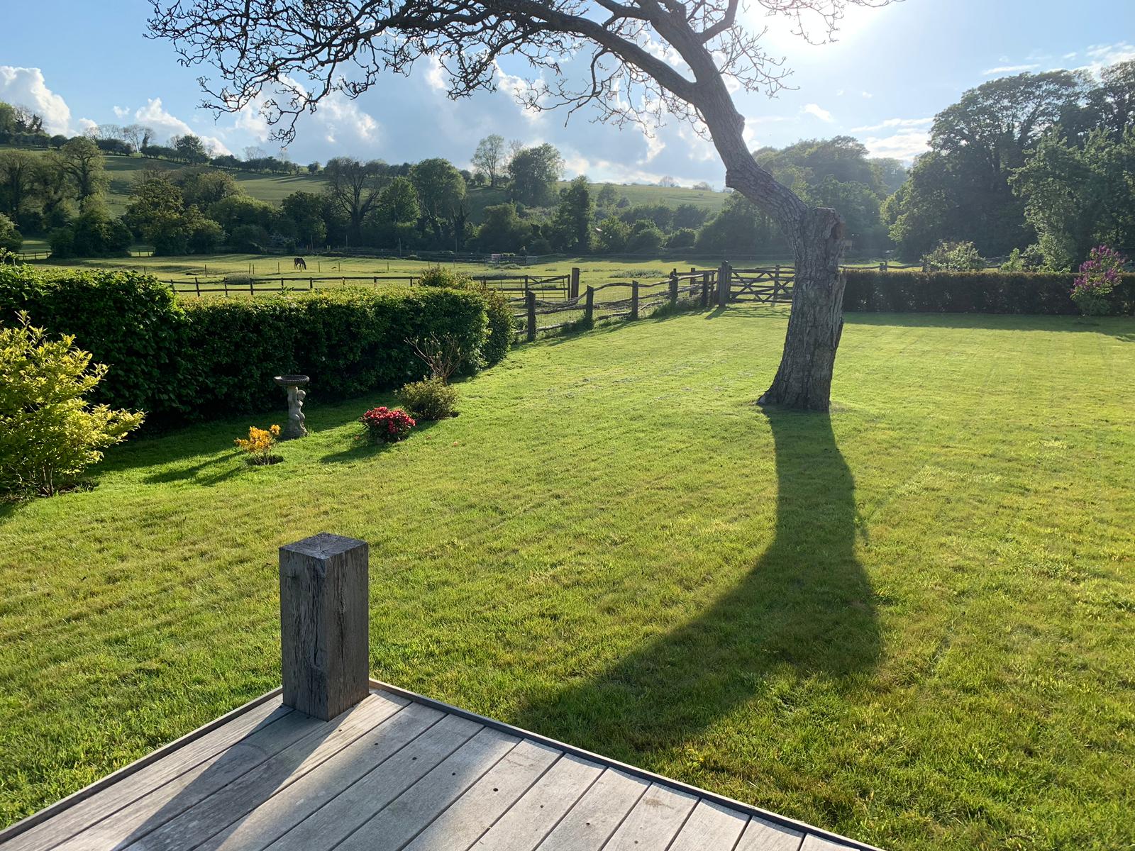 Well-kept garden lawn in summer
