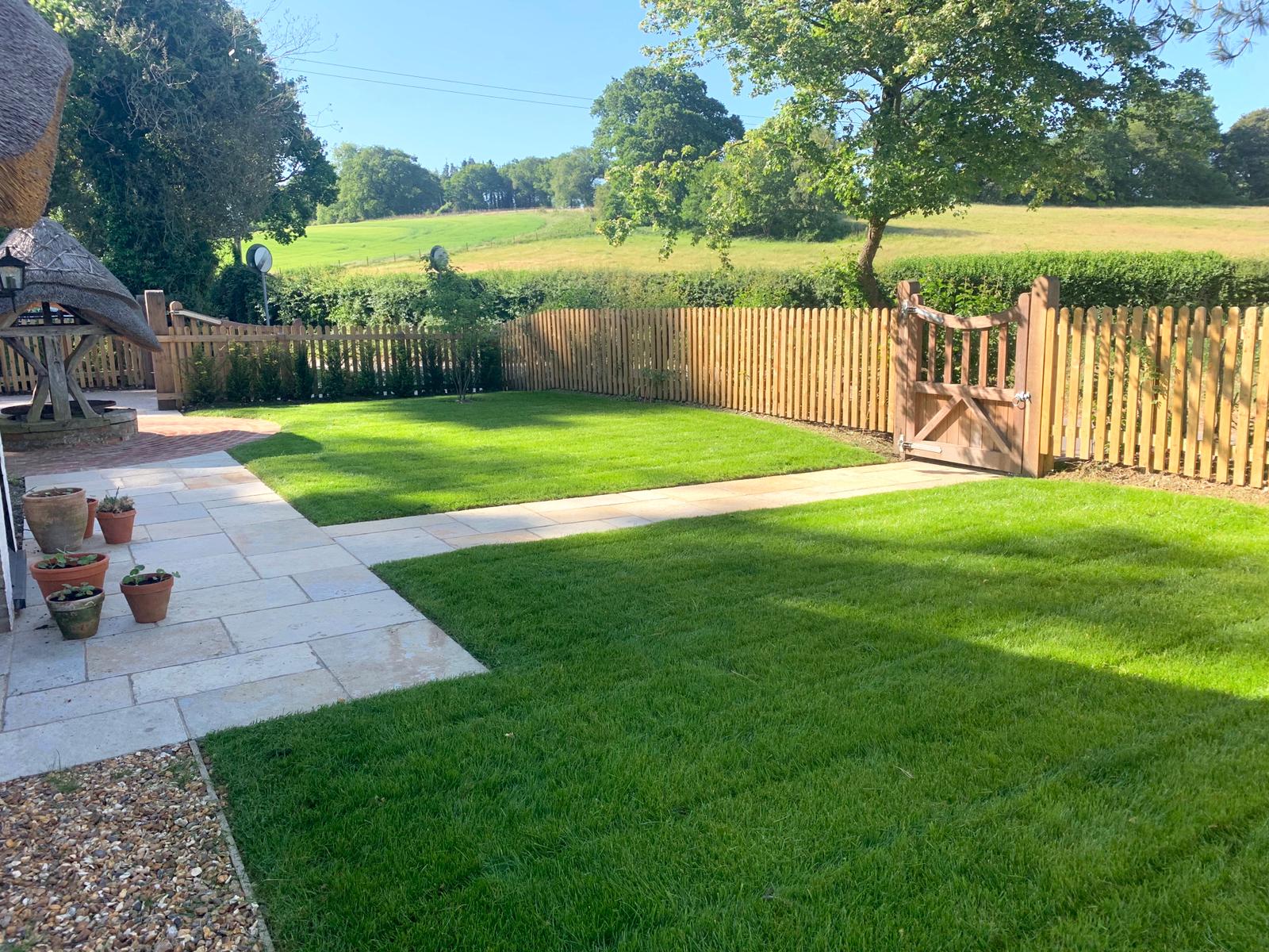 Lawn showing yellow and brown fertiliser scorch damage after incorrect feeding