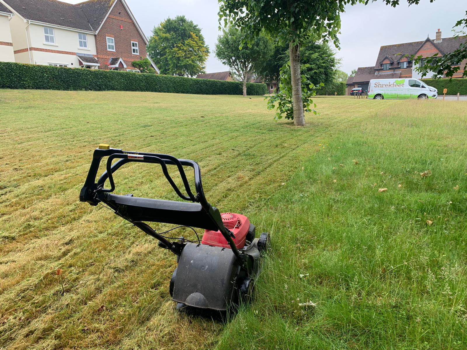 Mowing a lawn in summer at the correct height