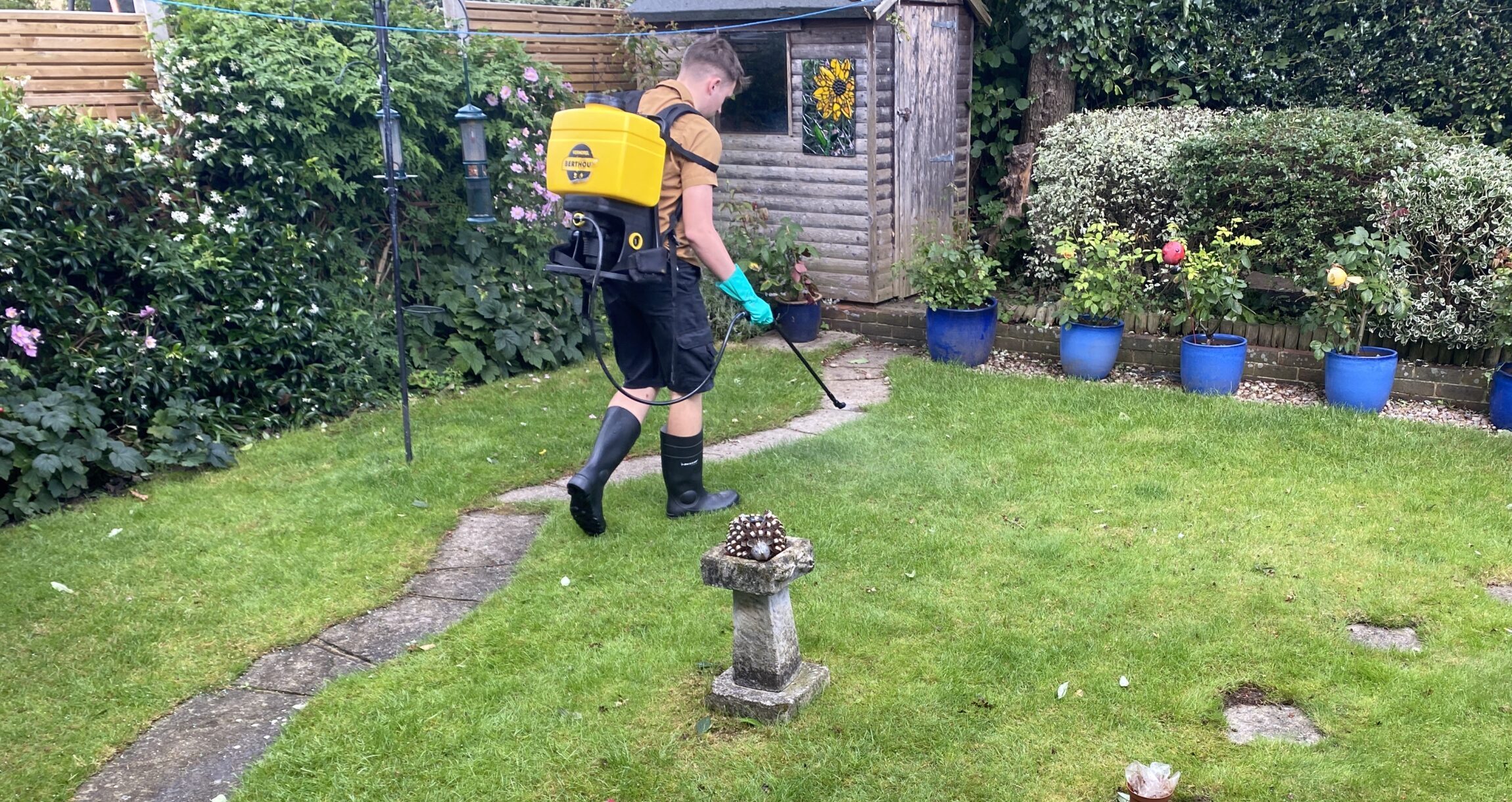 What is Drench and why is it used on Basingstoke lawns?