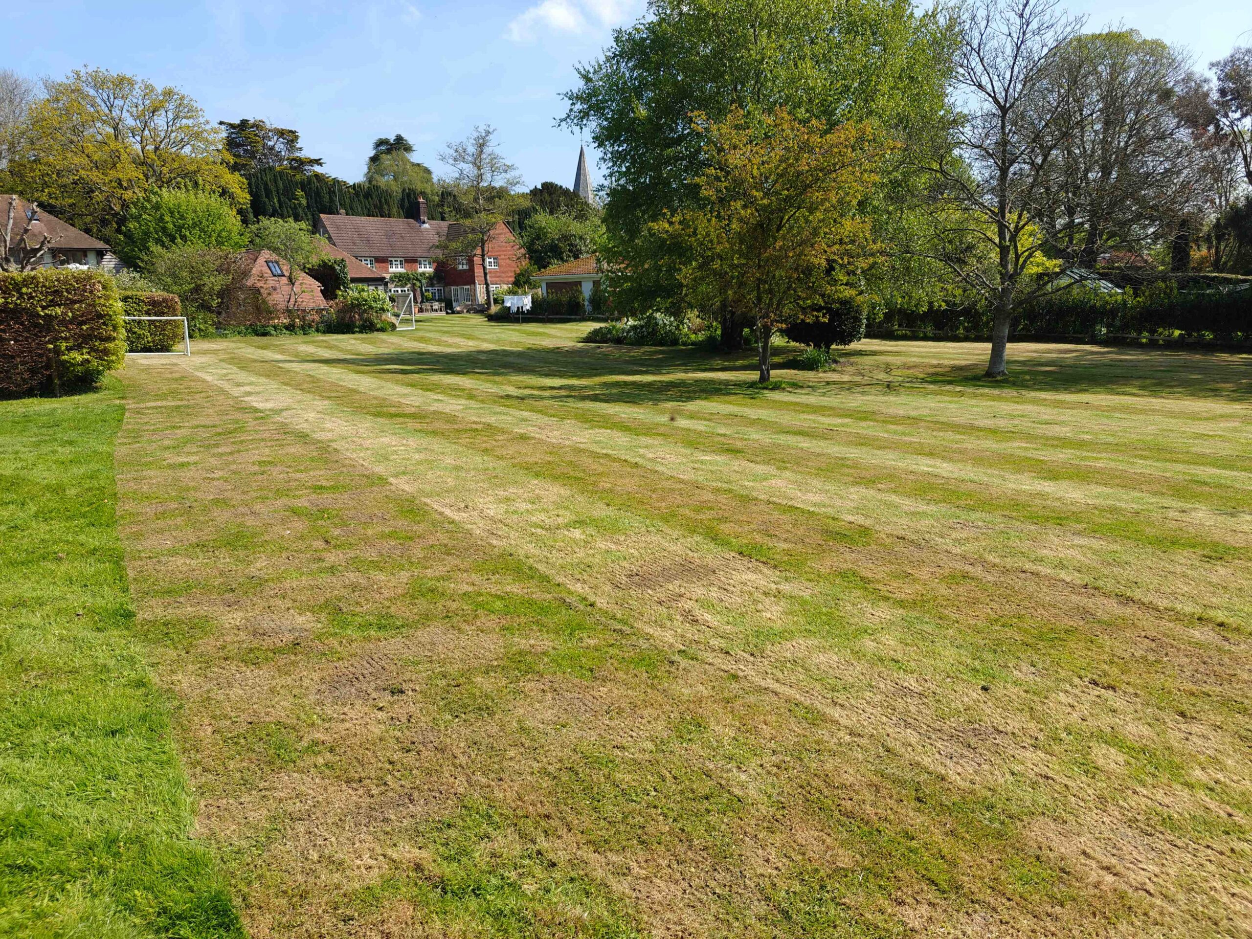 Lawn surface showing uneven areas that affect mowing quality