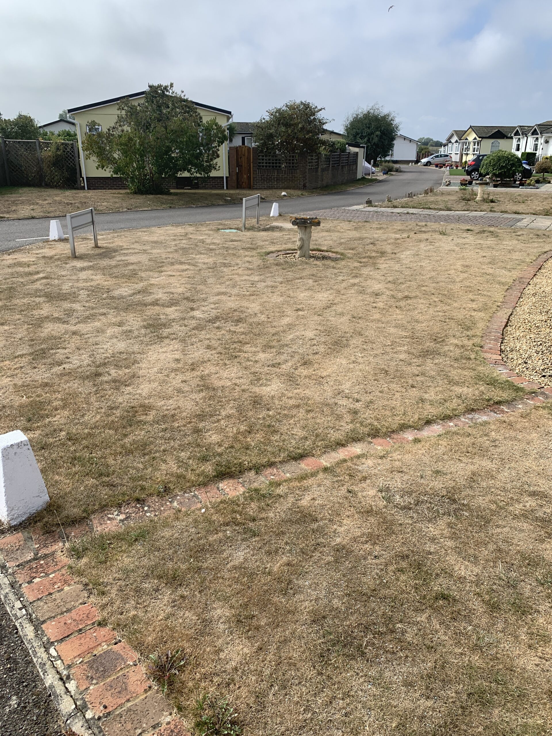 When the lawn dries out and doesn't recover