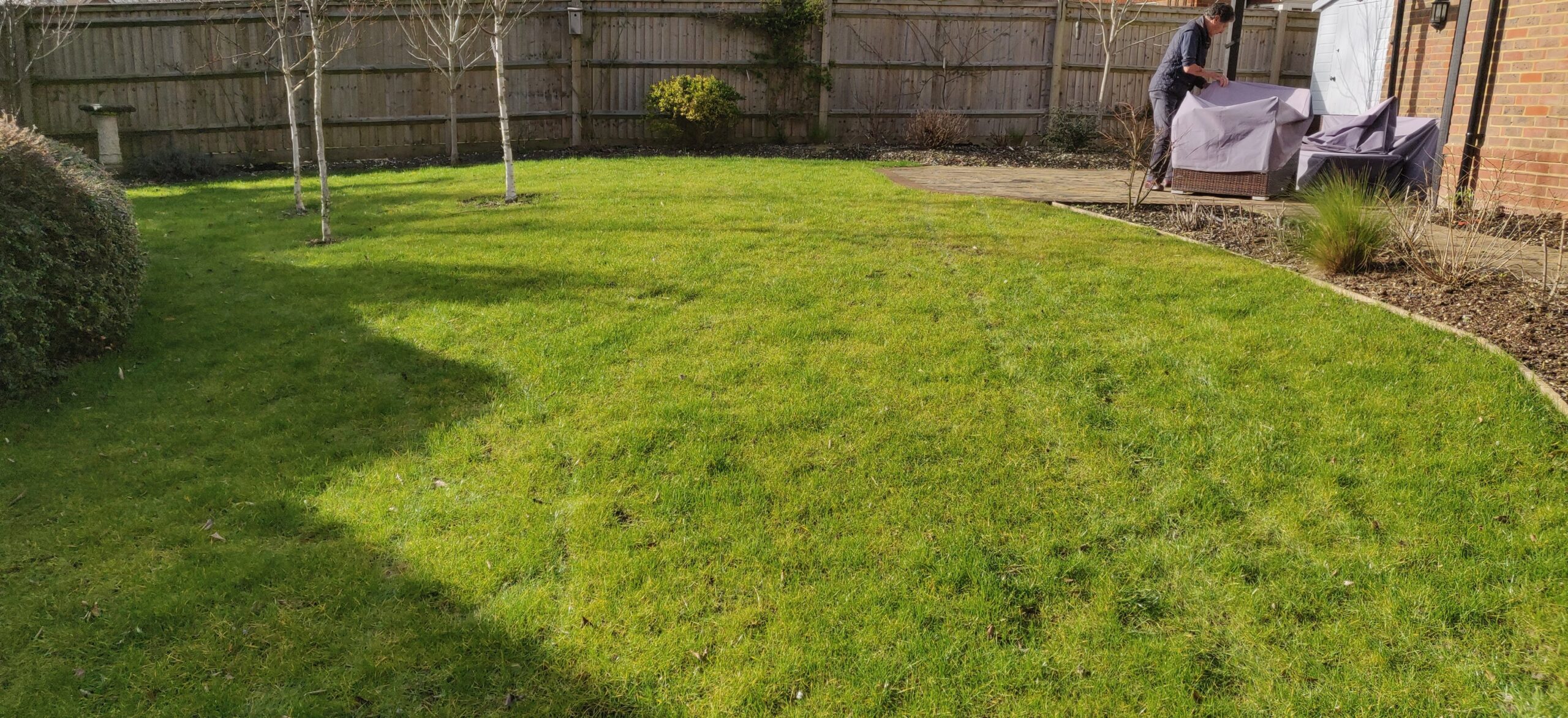 When the lawn looks thin without an obvious reason