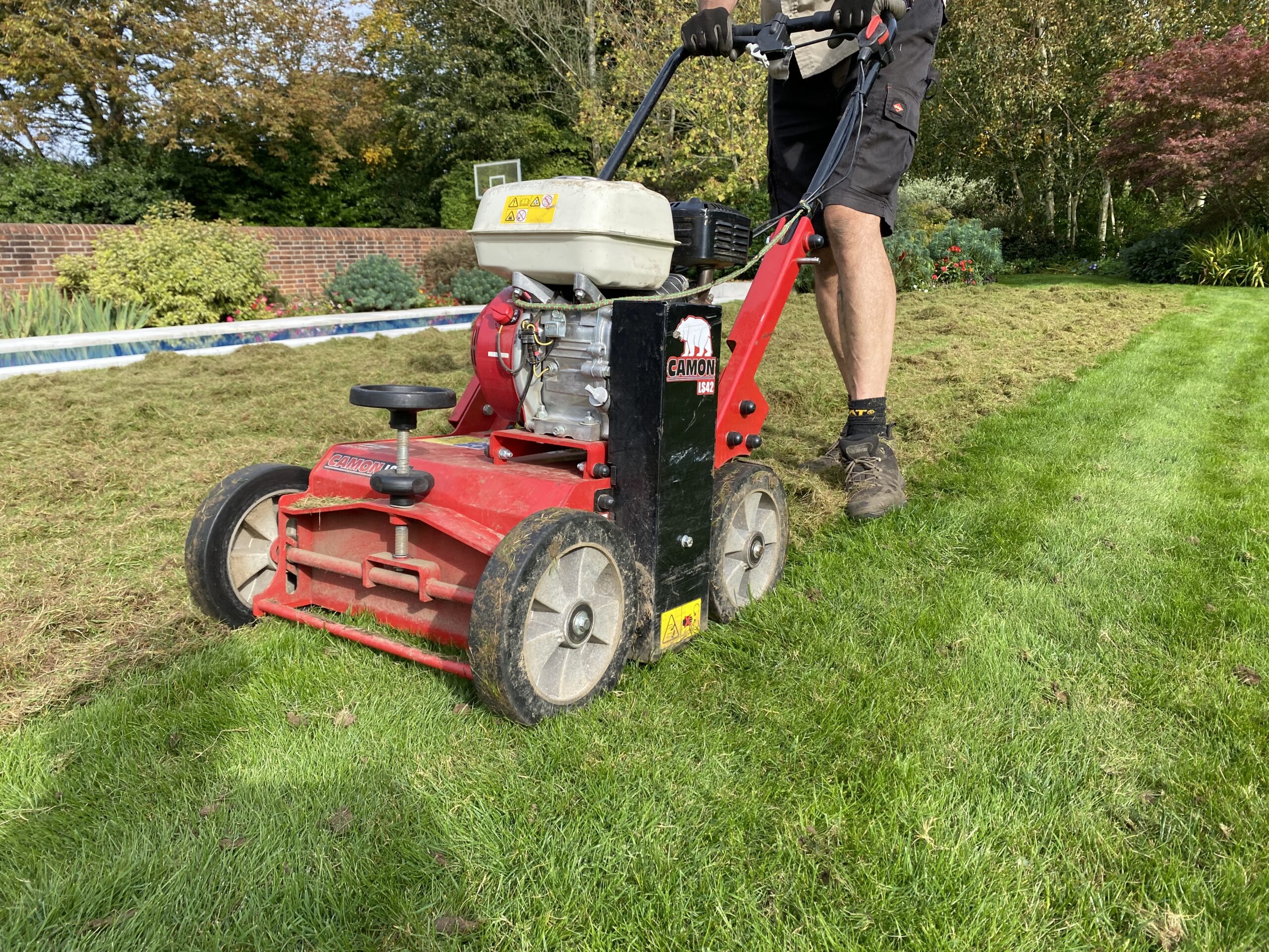 Powered scarifier removing thatch and dead moss from a domestic lawn