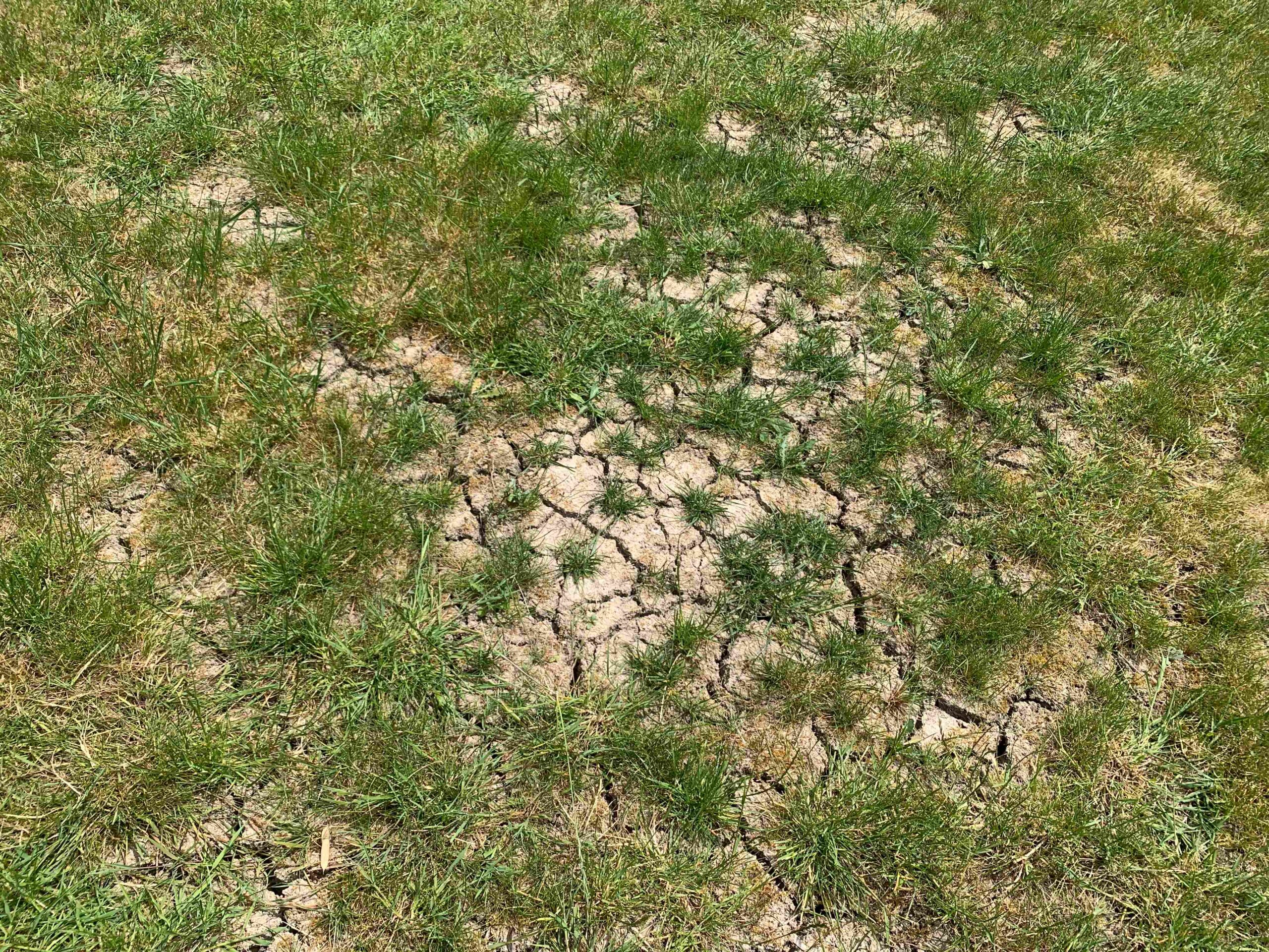 When the ground is compacted