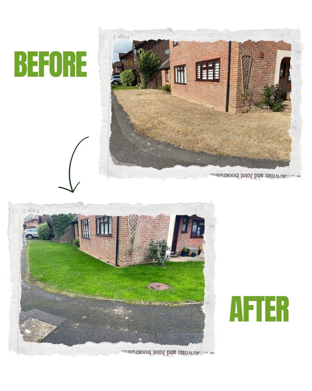 A drought damaged lawn before renovation and the same lawn after, thick and green