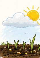 Sun breaking through cloud over sparse seedlings
