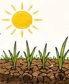 Sun over dry, cracked soil with sparse grass