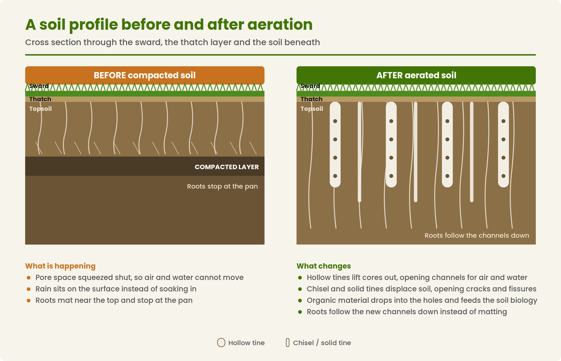 Diagram comparing soil profile before and after aeration showing improved root penetration