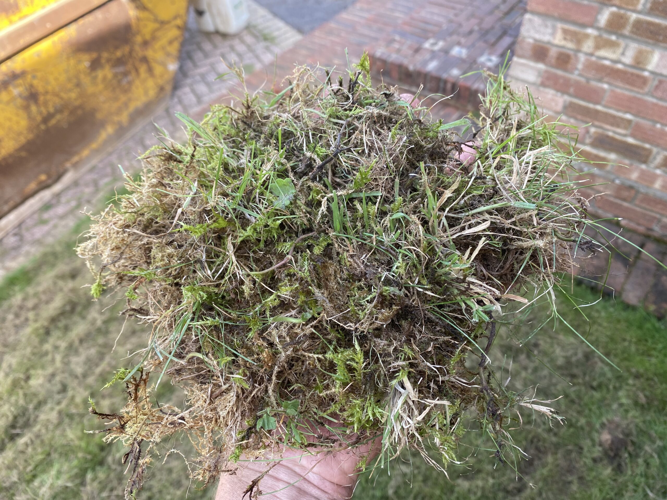 Clearing scarified material and dead moss from a lawn after renovation treatment