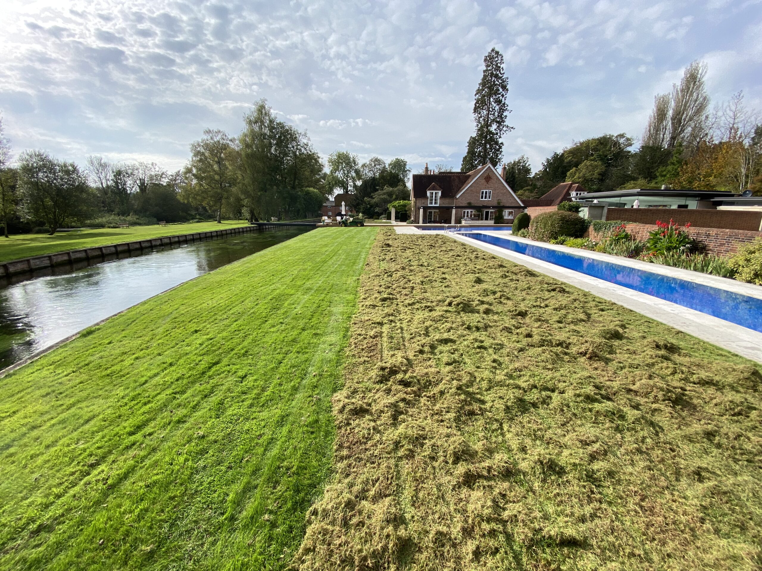 Powered scarifier removing thatch from a lawn during autumn renovation