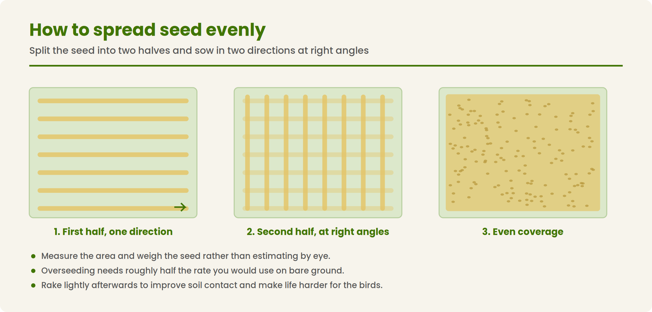 Diagram showing how to spread grass seed evenly using a cross-hatch technique