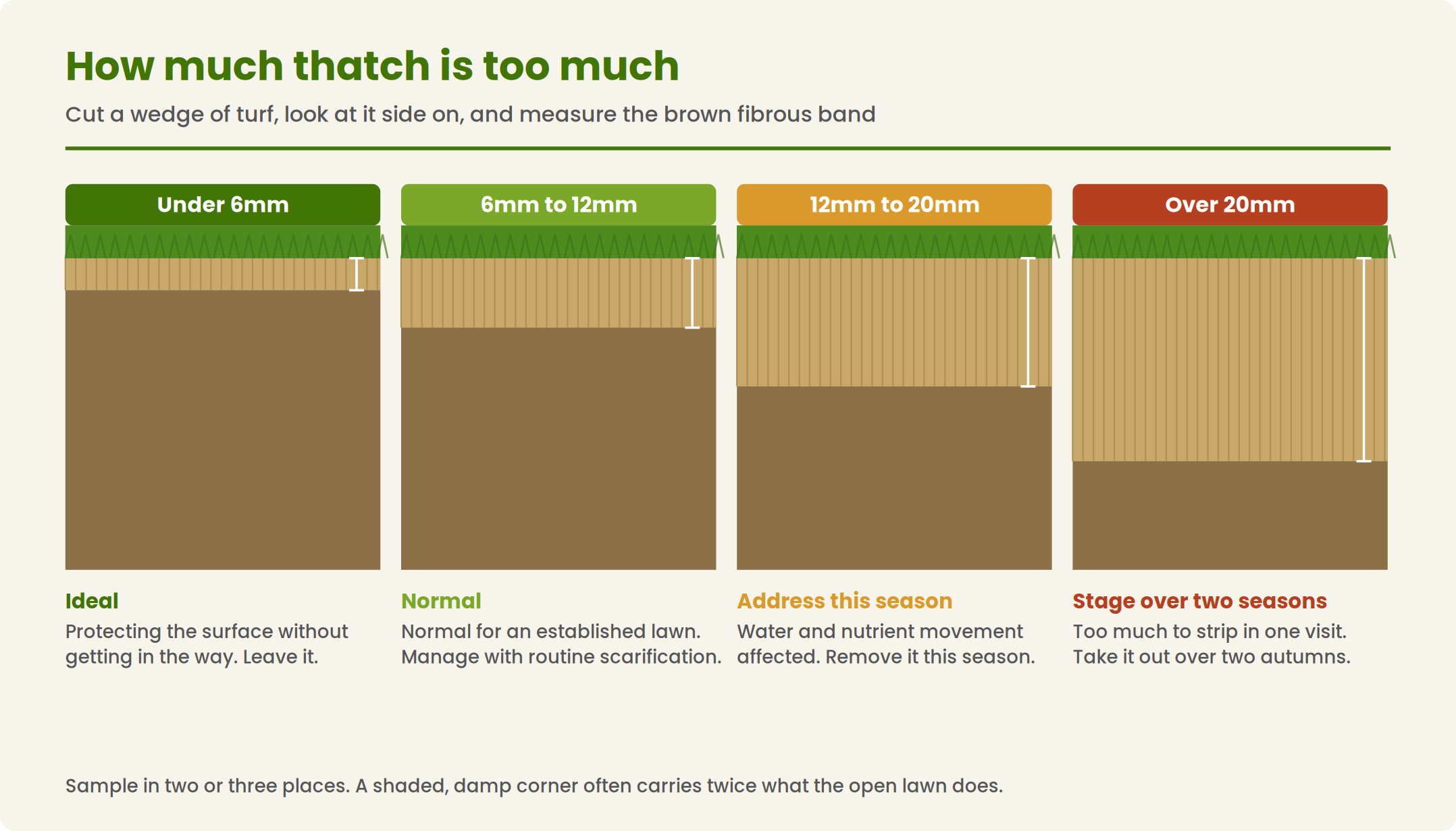 Diagram showing thatch depth measurements and what each level means for lawn health