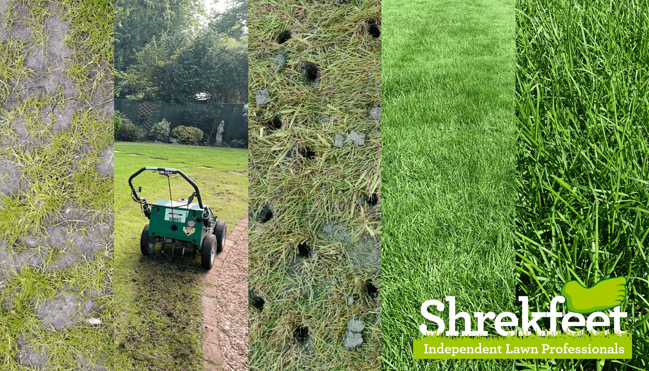 Lawn aeration being carried out on a residential garden