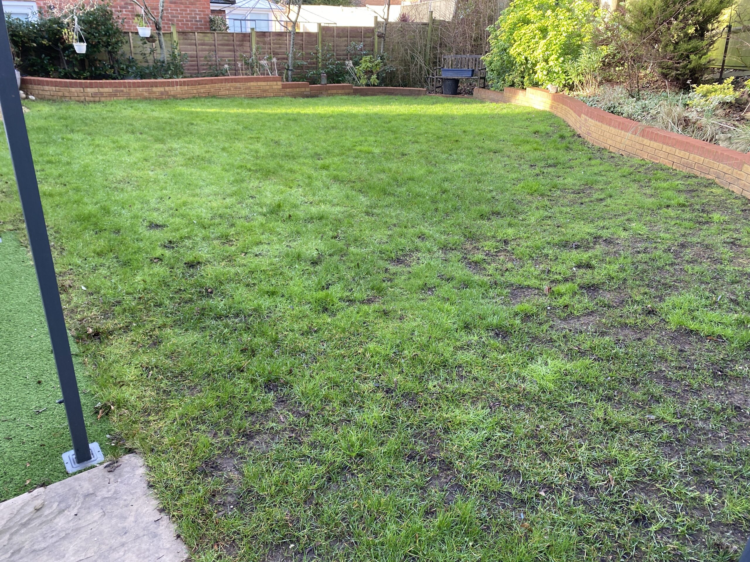Shaded strip of lawn beside a fence showing thin grass and mud