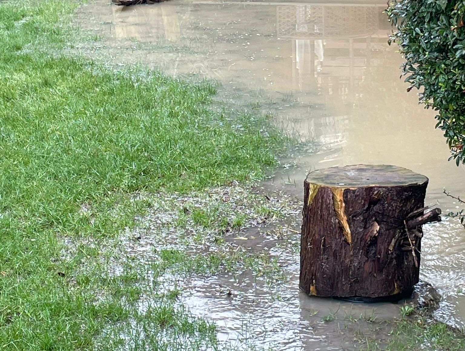Waterlogged lawn with standing water across the surface after heavy rain